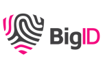 Logo_BigID Gray-Pink Horizontal  (2)